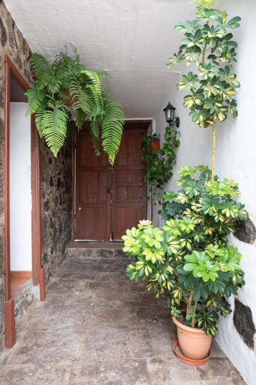 Casa Canaria Acero Garachico  Exterior photo